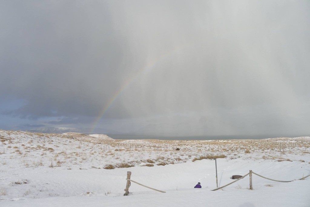 Icelandic Rainbow on Videy Island