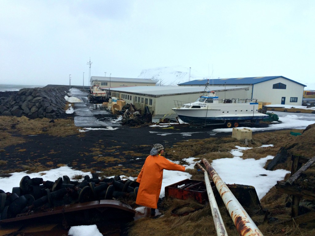 Rif in the storm, fish processing plants, sea wall